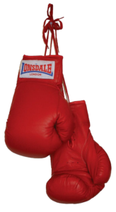 online marketing coach boxing gloves cropped